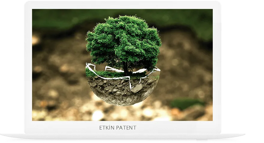 patent on koruma yöntemleri-kütahya web tasarım